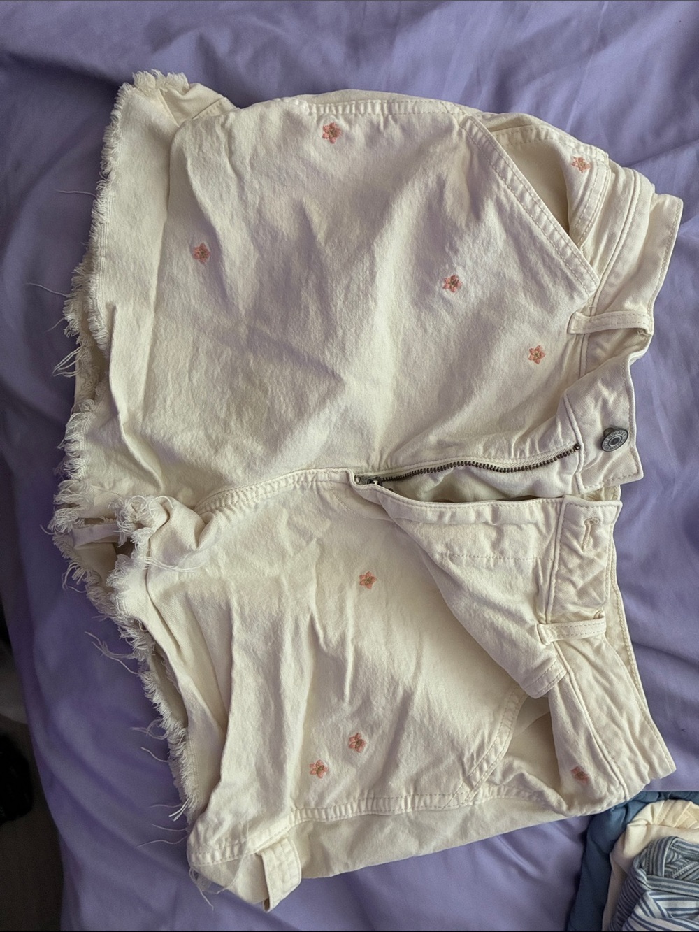 American Eagle Outfitters Cream Shorts with Pink Floral Embroidery